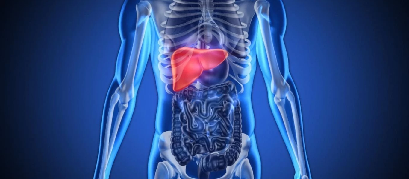 Πόνος στο συκώτι: Αιτίες, παράγοντες κινδύνου & διάγνωση